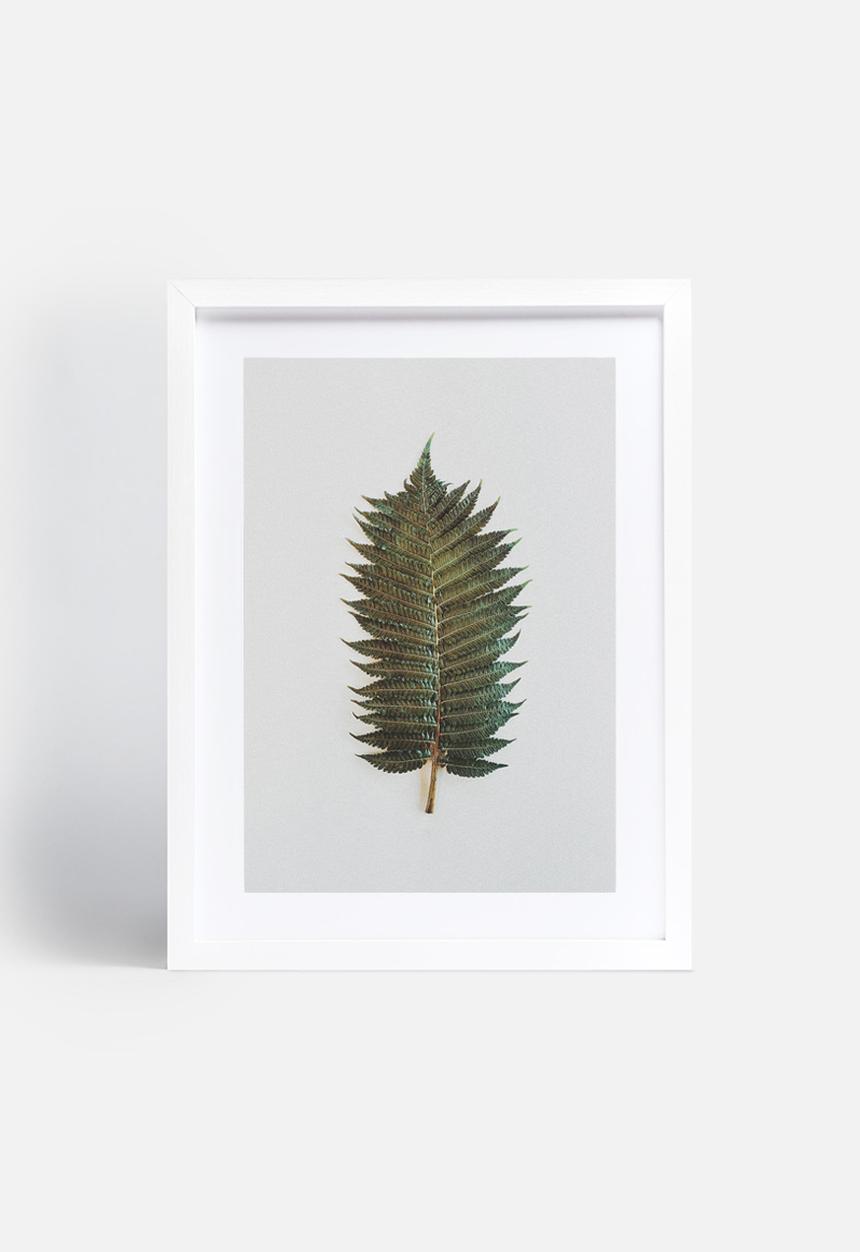 Sixth Floor - Fern 1