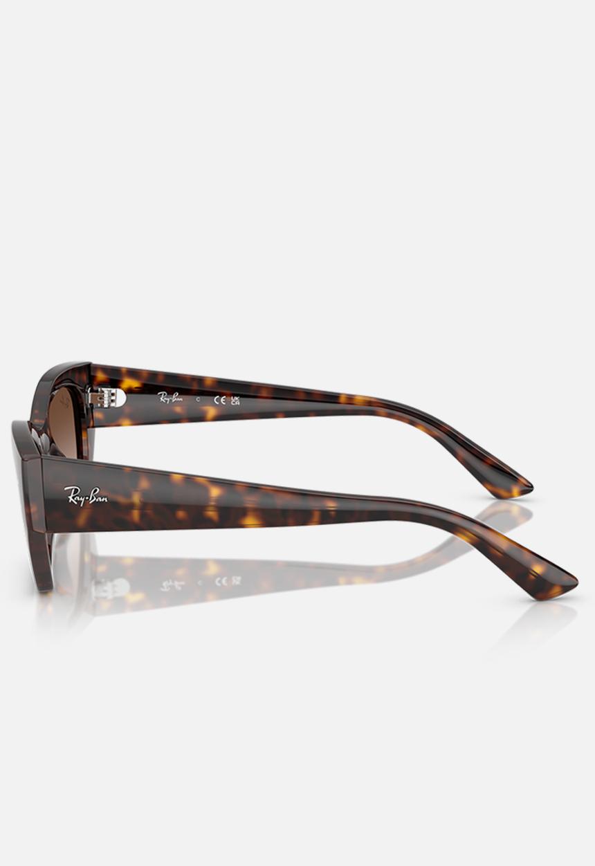 Ray-Ban - Zena - Havana-Tortoise