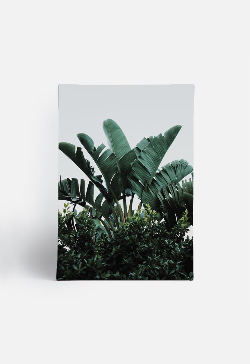 Sixth Floor - Palms 1