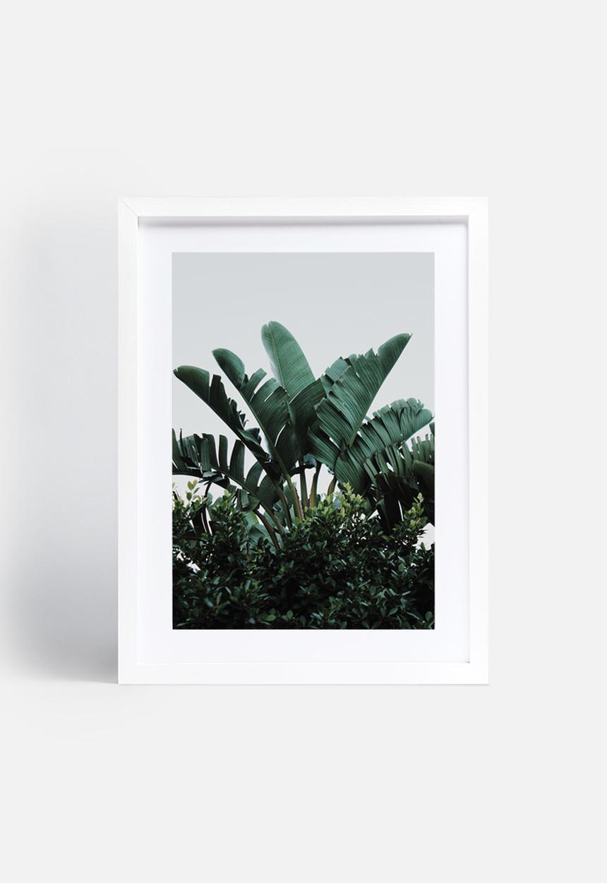 Sixth Floor - Palms 1