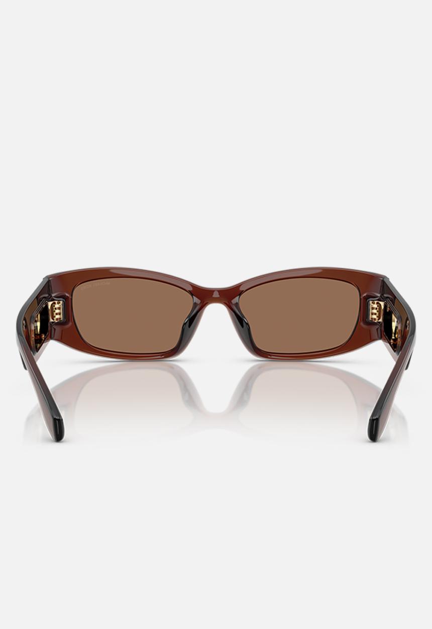 Michael Kors Eyewear - Rhodes - Brown Transparent-Brown