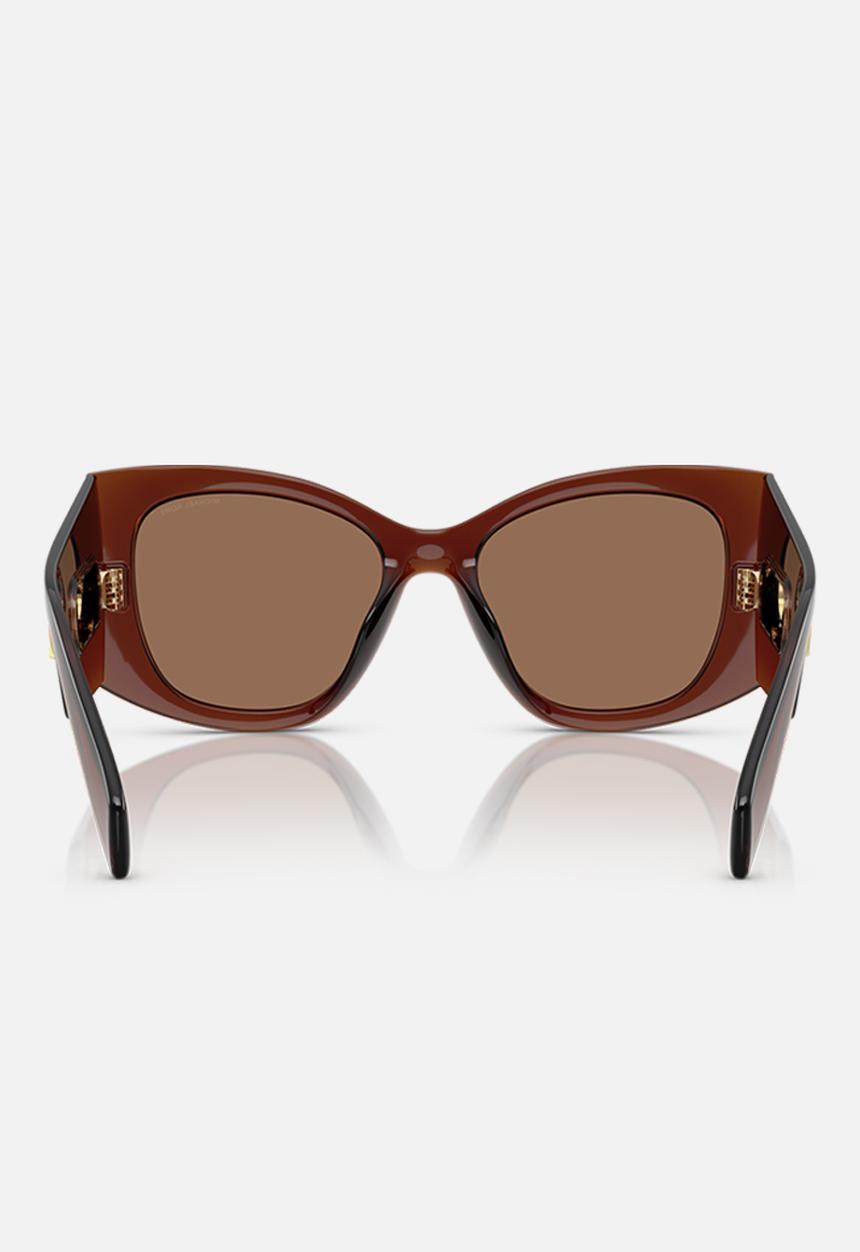 Michael Kors Eyewear - Costa Blanca - Brown Transparent-Brown