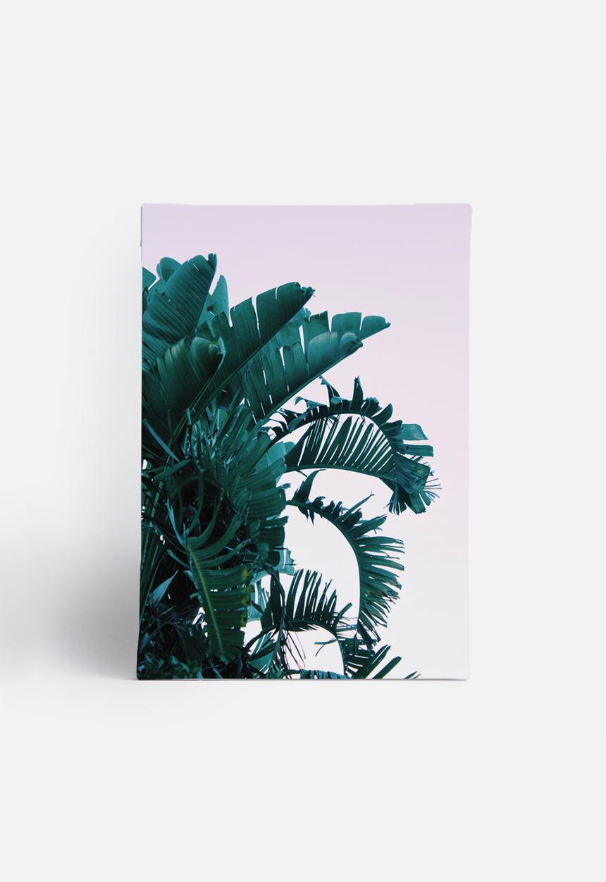 Sixth Floor - Palms 2