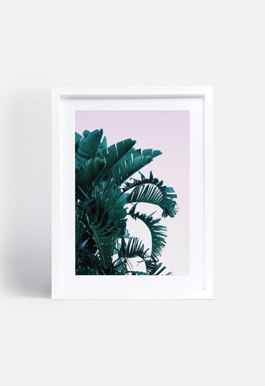Sixth Floor - Palms 2