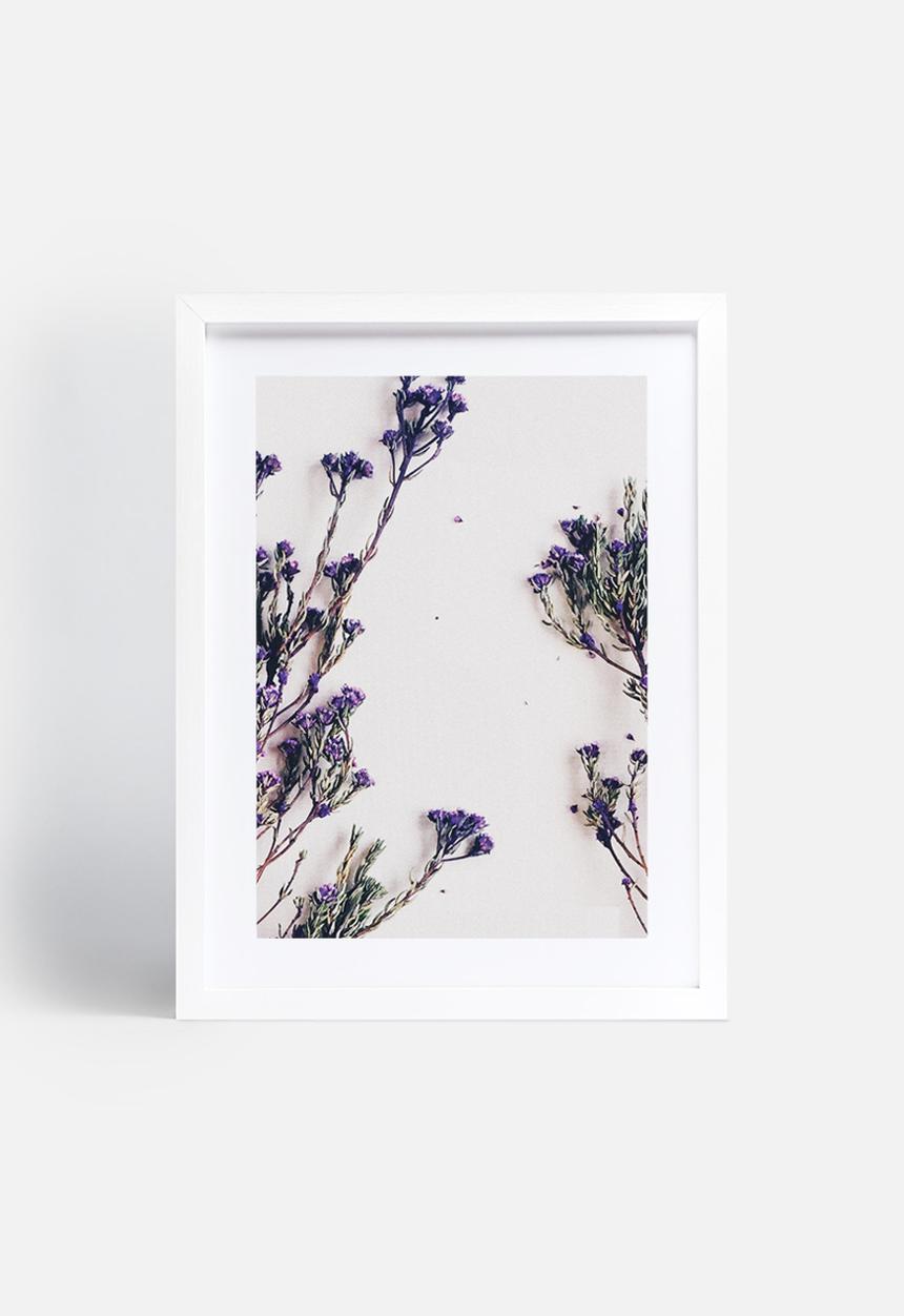 Sixth Floor - Purple