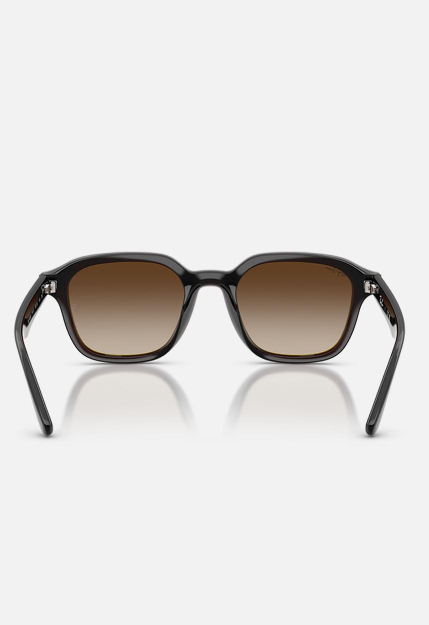 Ray-Ban - Rb - Transparent Dark Brown-Brown