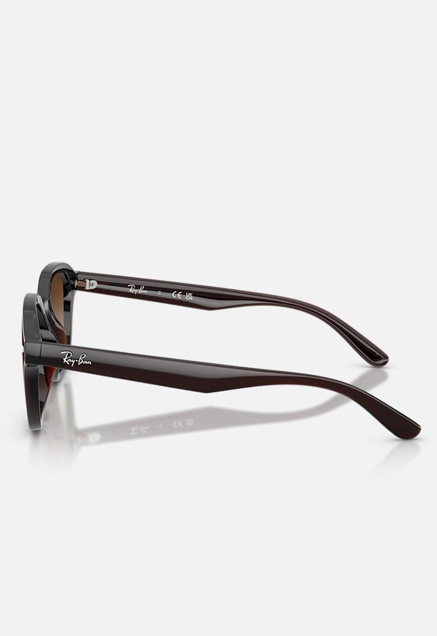 Ray-Ban - Rb - Transparent Dark Brown-Brown