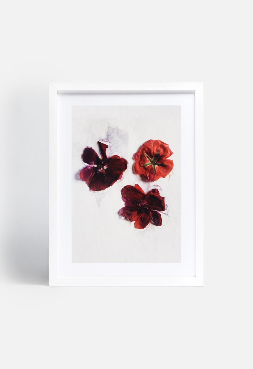 Sixth Floor - Red blooms