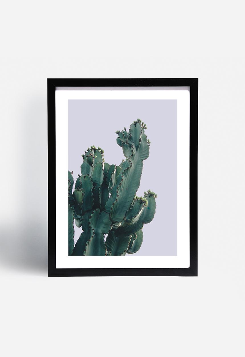Sixth Floor - West Coast cactus 1