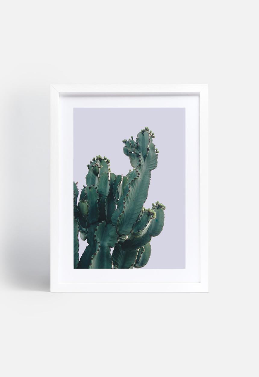 Sixth Floor - West Coast cactus 1