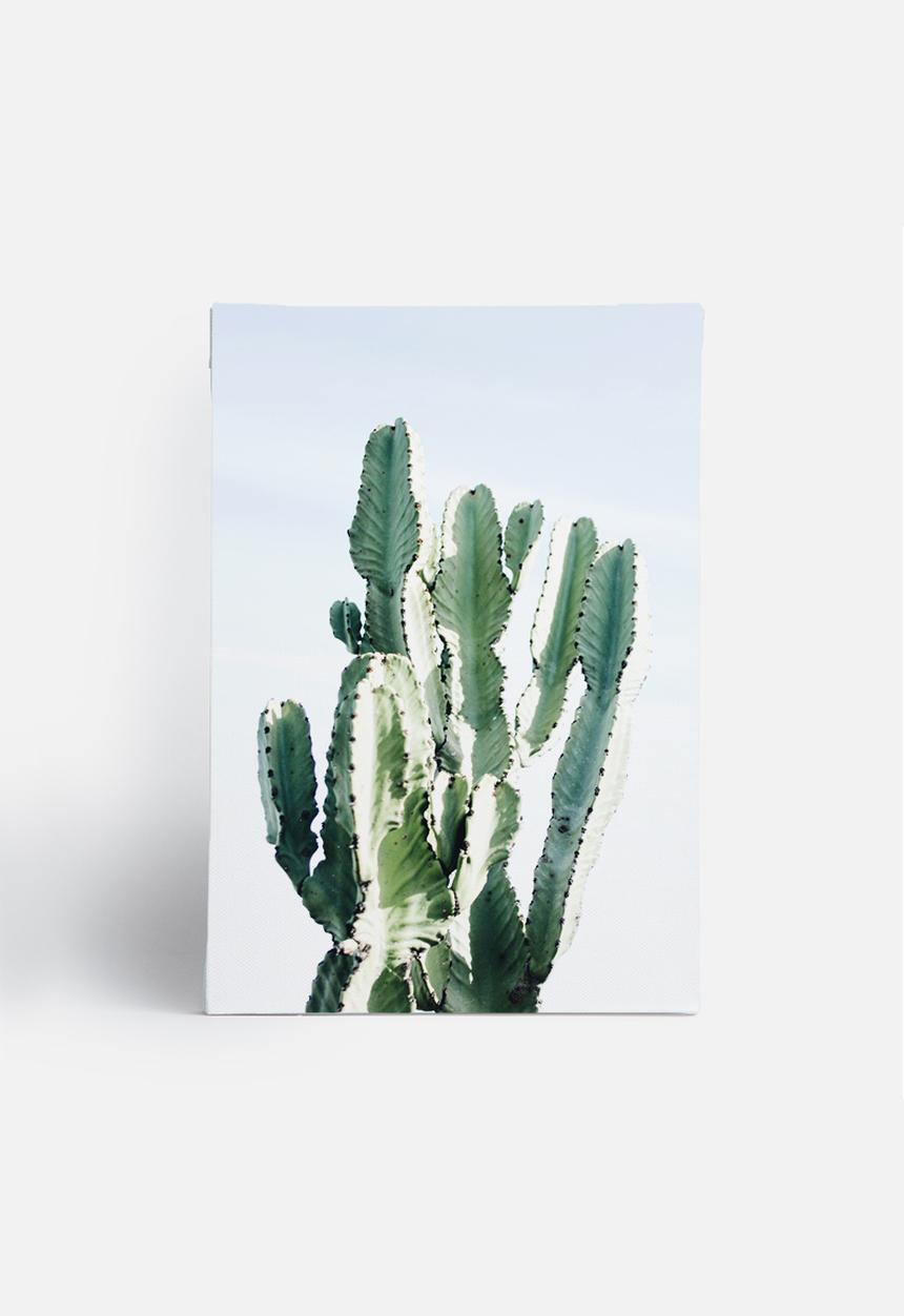 Sixth Floor - West Coast cactus 2
