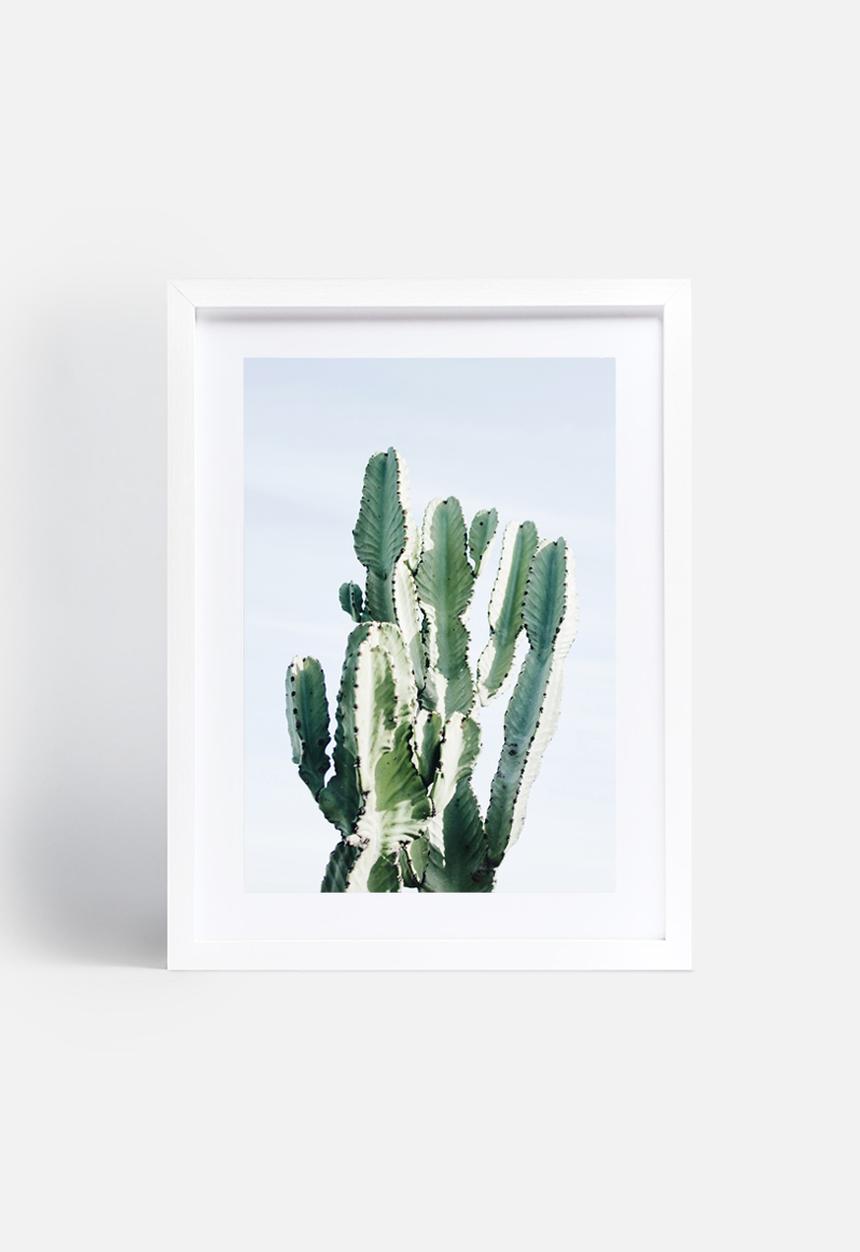 Sixth Floor - West Coast cactus 2