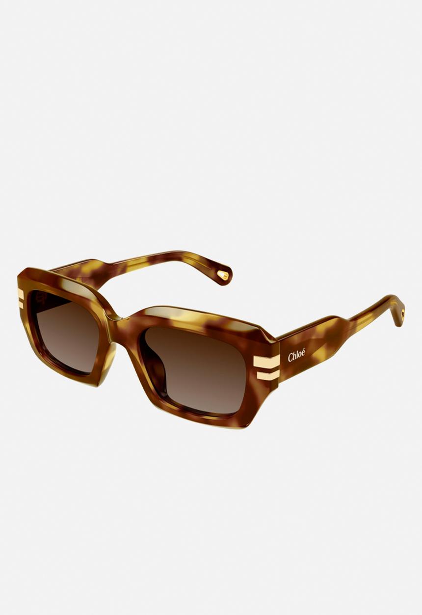 Chloe - Chloe Ch0256s-002- havana