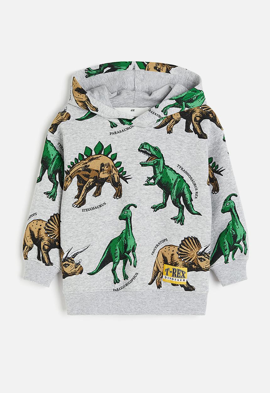 H&M - Printed hoodie - light grey/dinosaurs 