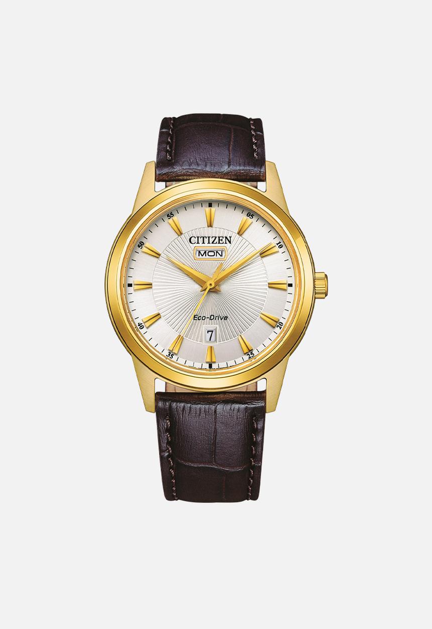 CITIZEN  - Citizen gnts eco-drive strp ssyp wr30- brown/gold