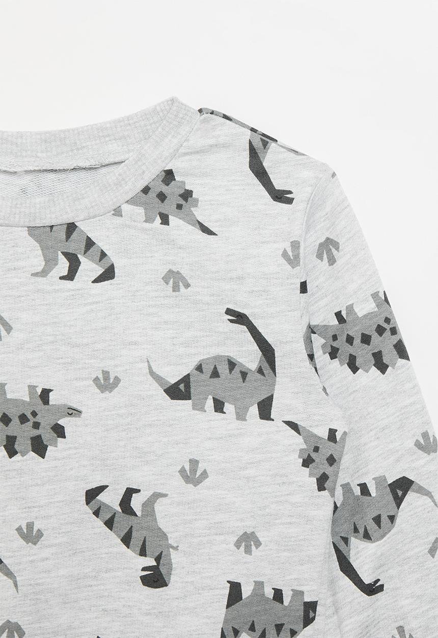 Pop Candy - Dino print sweat top - grey