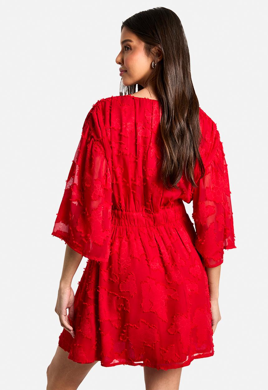 boohoo - Burnout floral plunge skater dress - red