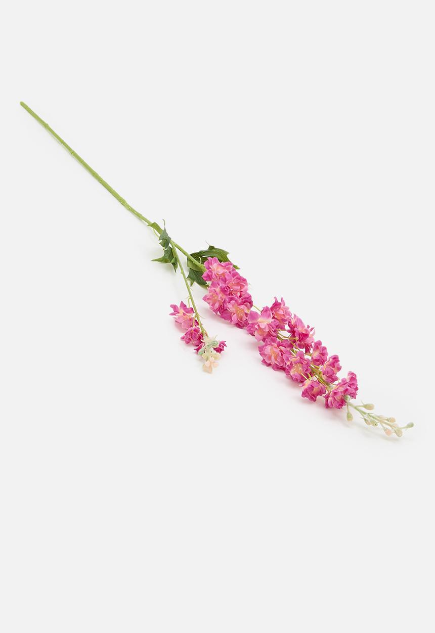 H&S - Single delphinium 85cm - pink