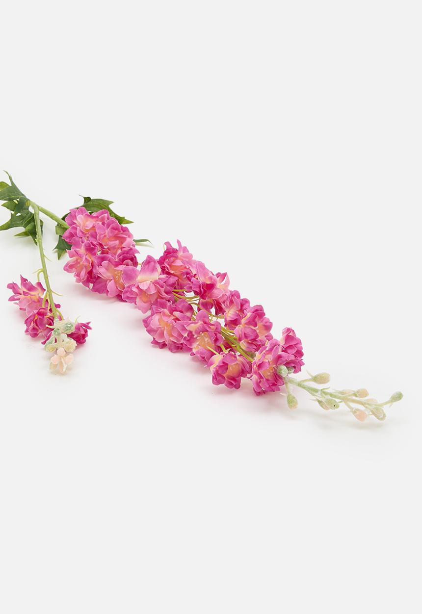 H&S - Single delphinium 85cm - pink