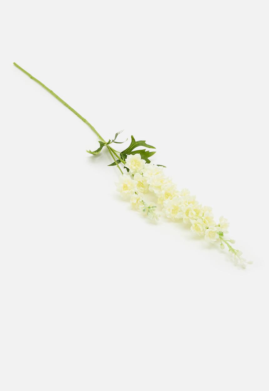 H&S - Single delphinium 85cm - white