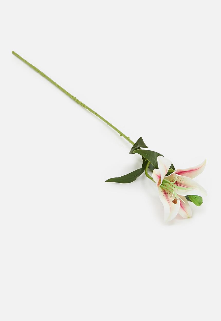 H&S - Single Lily - Pink