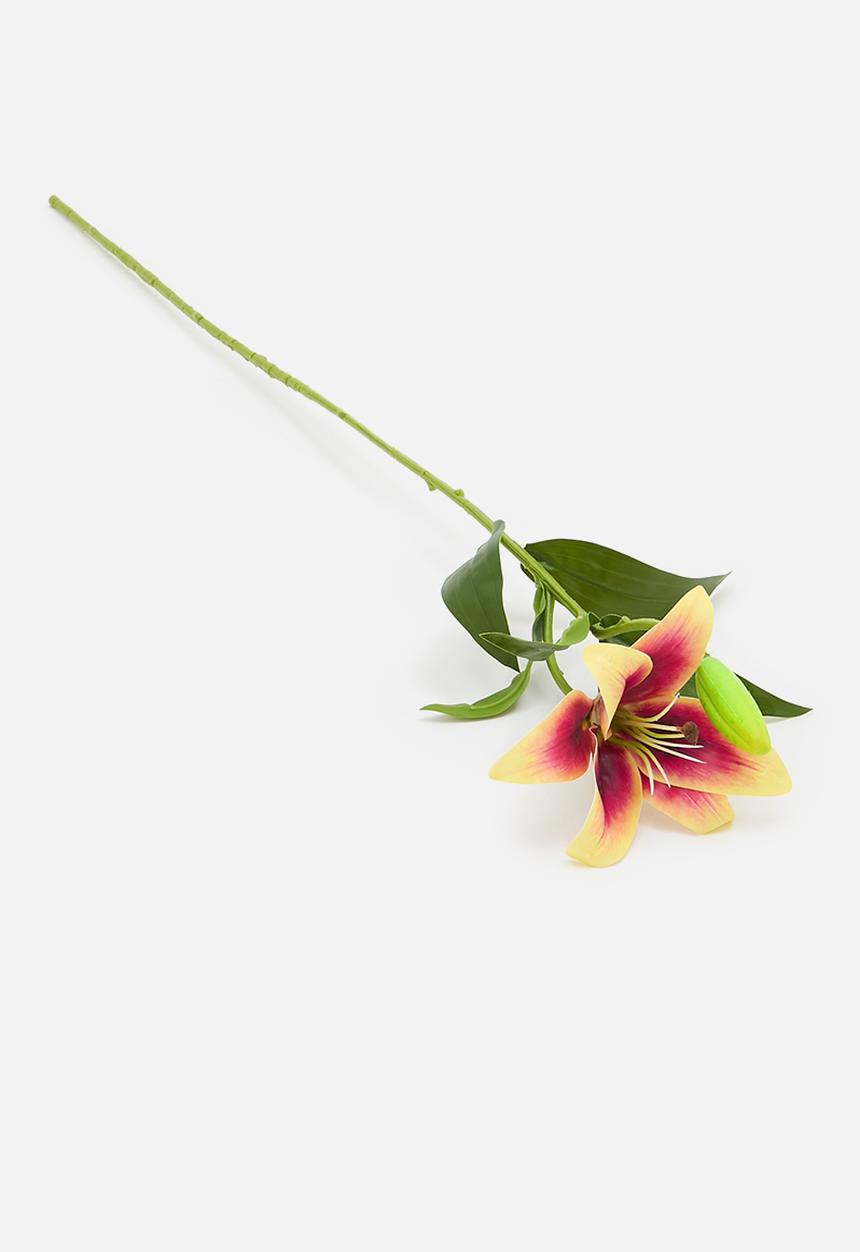 H&S - Single Lily - salmon pink