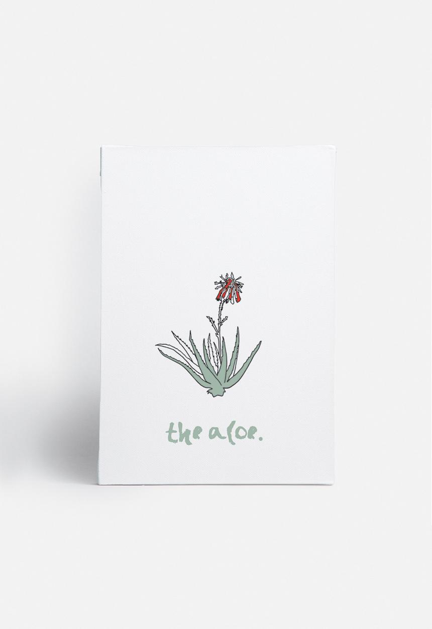 Kate Currie - The aloe