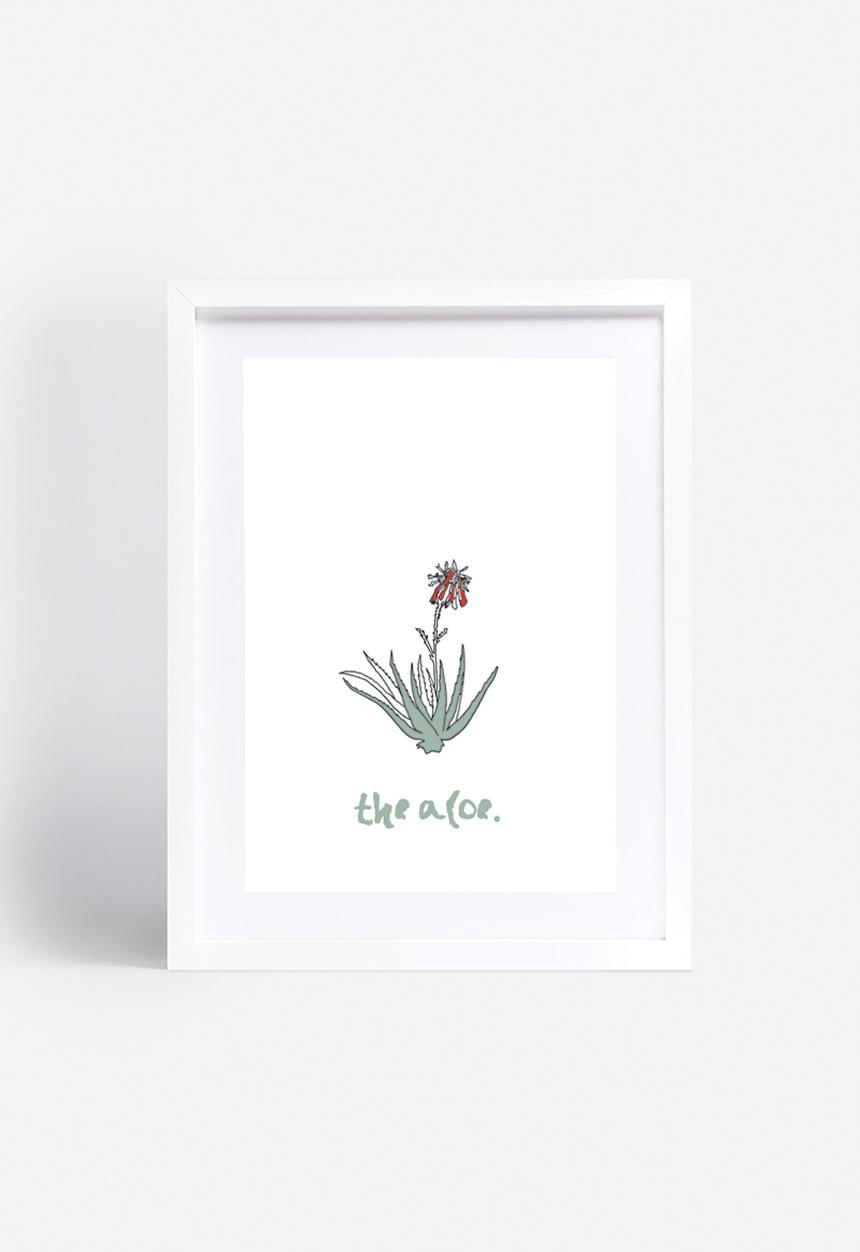 Kate Currie - The aloe
