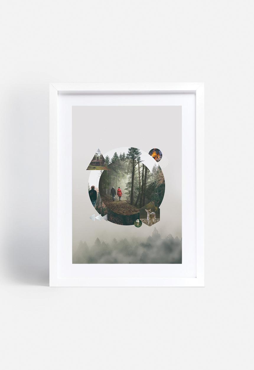 Sixth Floor - Forest