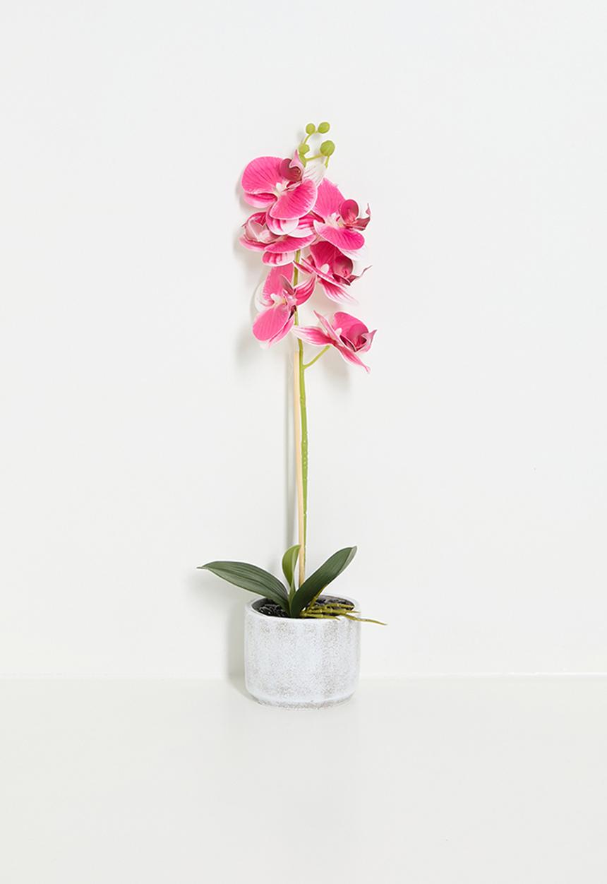 H&S - Orchid Artificial Plant Pink