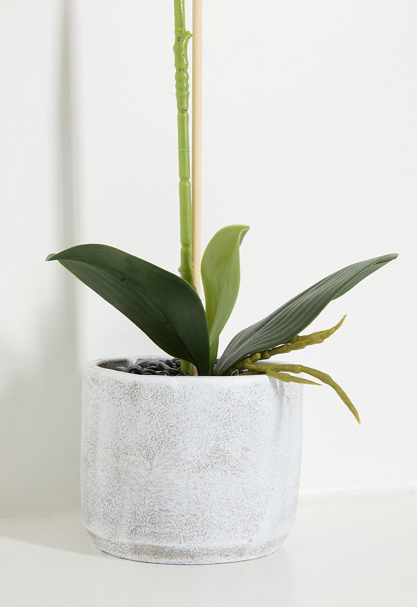 H&S - Orchid Artificial Plant Purple