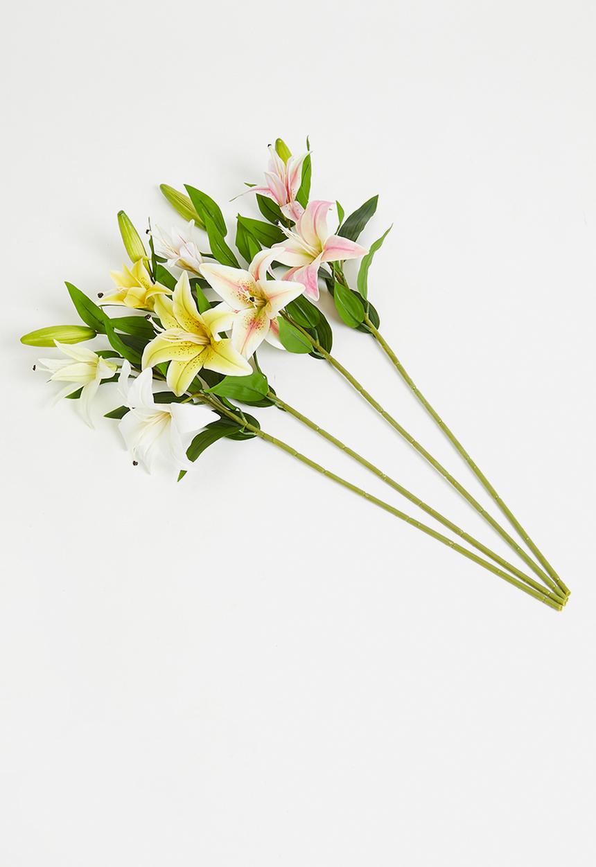 H&S - Tiger lily  bunch of 4 mixed stems - multi