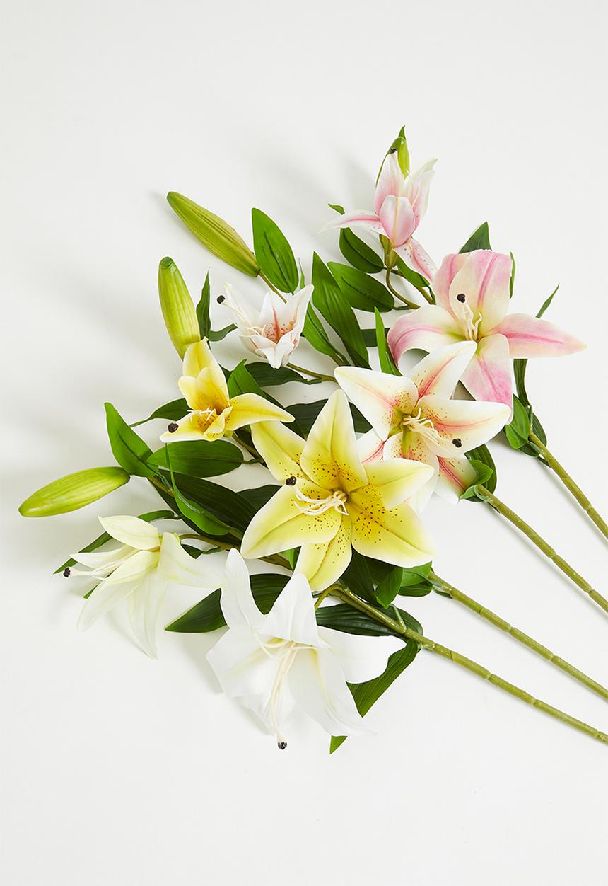 H&S - Tiger lily  bunch of 4 mixed stems - multi