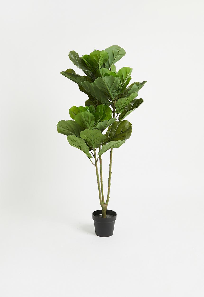 H&S - Faux 3 branch fiddle-leaf tree