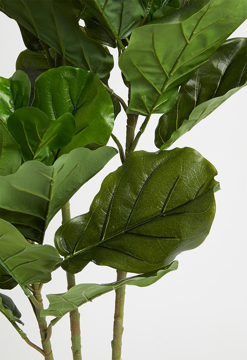 H&S - Faux 3 branch fiddle-leaf tree