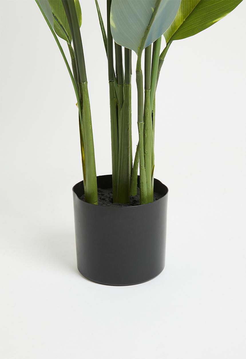 H&S - Artificial Jade plant in pot - Green