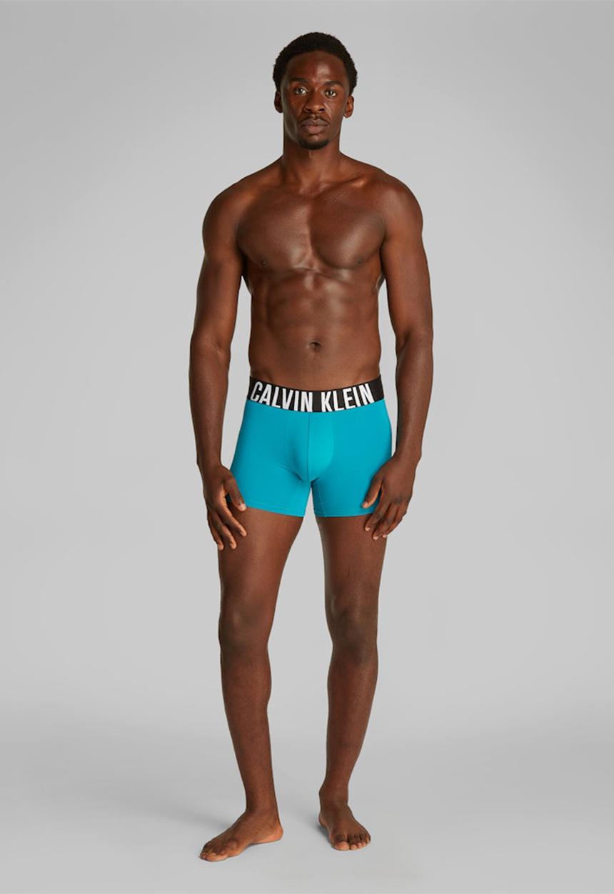 Calvin Klein - Boxer Brief 3 Pack - Misty Grey, Black &  Blossom Green