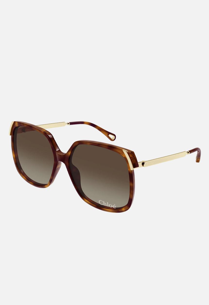 Chloe - Ch0286S-002 L Sunglass - Havana