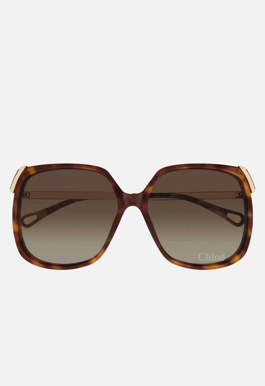 Chloe - Ch0286S-002 L Sunglass - Havana