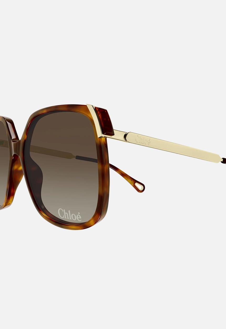 Chloe - Ch0286S-002 L Sunglass - Havana