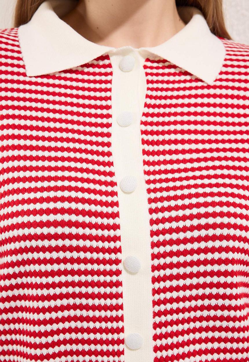 Trendyol - Plus Polo Collar Striped Top - Red