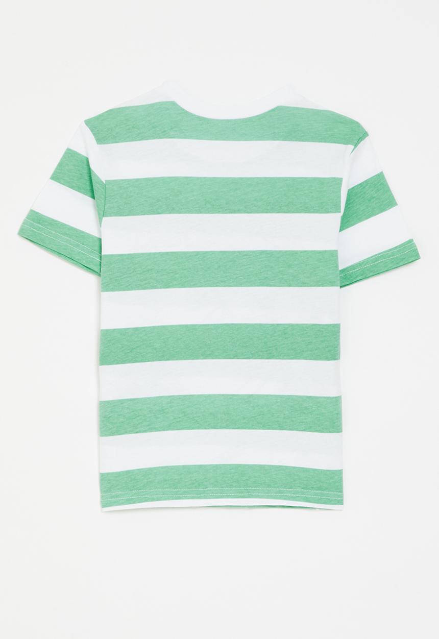Pop Candy - Tom & Jerry graphic print t-shirt - green stripes