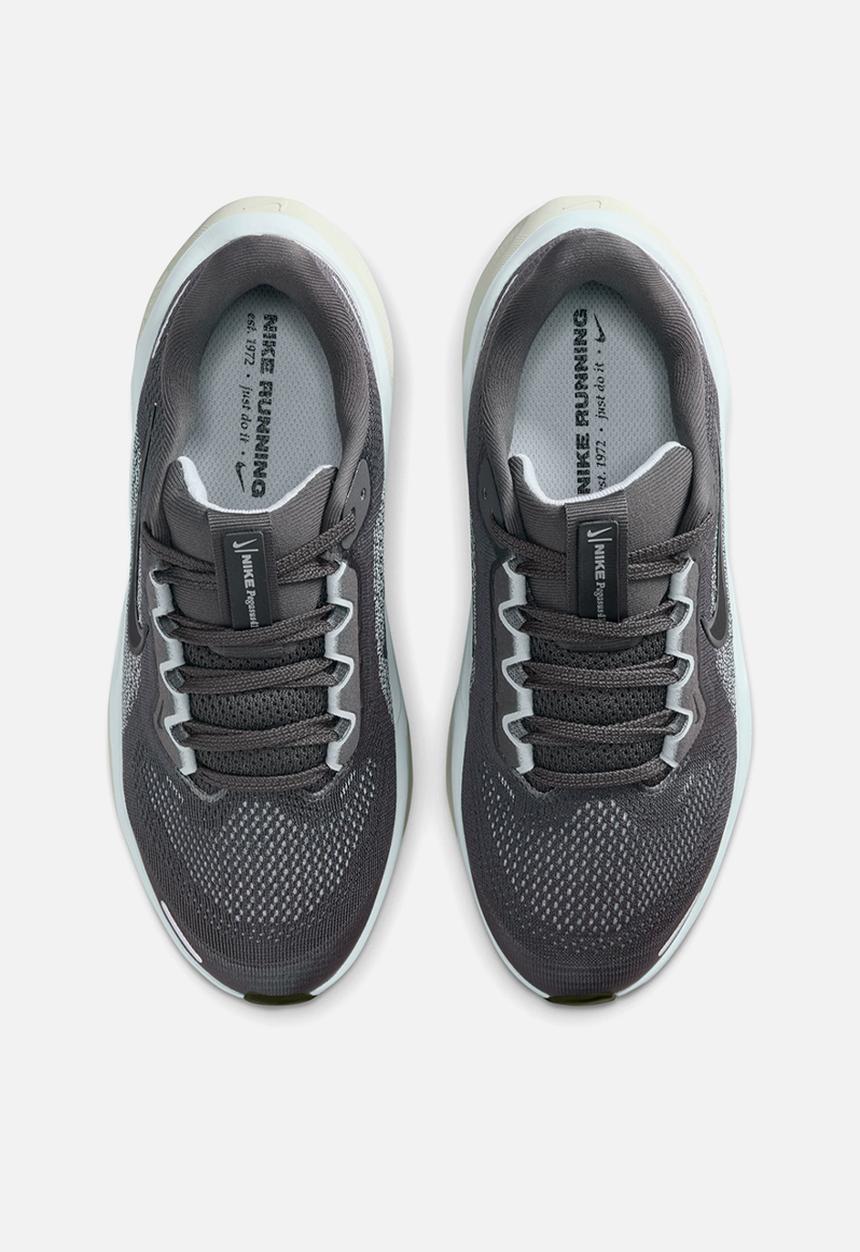 Nike - Nike Pegasus 41 Grade School