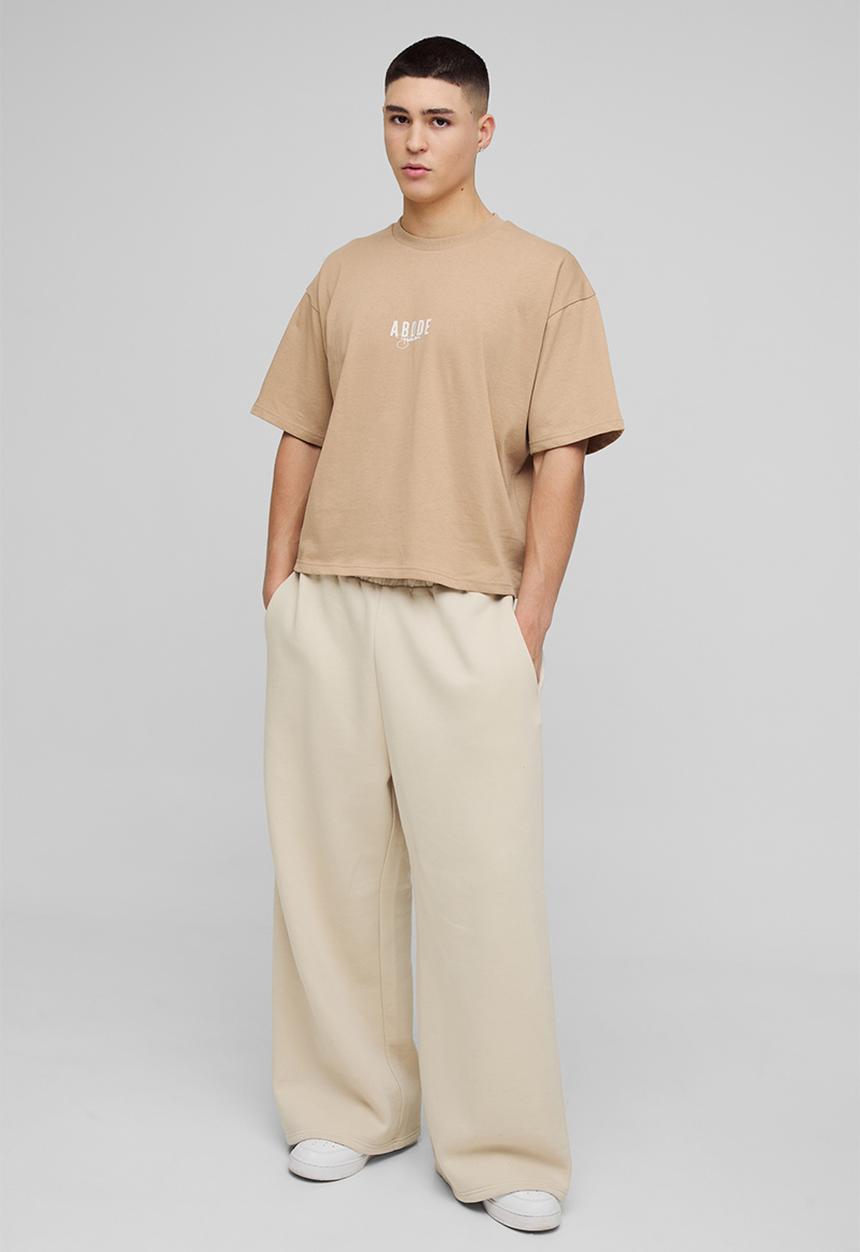 boohooMAN - ABODE Heavyweight Oversized Boxy Print T-Shirt - Taupe