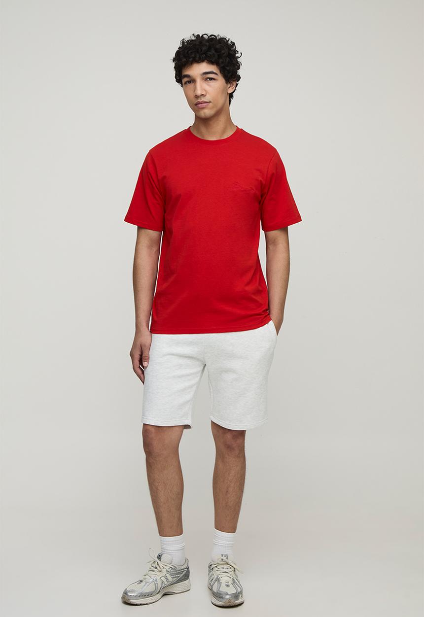 boohooMAN - Regular Fit BM Signature Embroidered Crew Neck T-shirt - Red