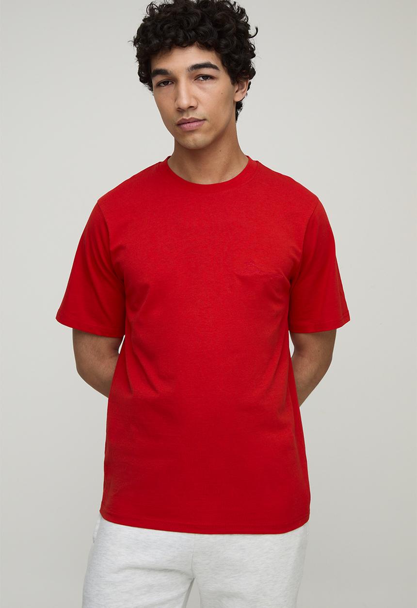 boohooMAN - Regular Fit BM Signature Embroidered Crew Neck T-shirt - Red