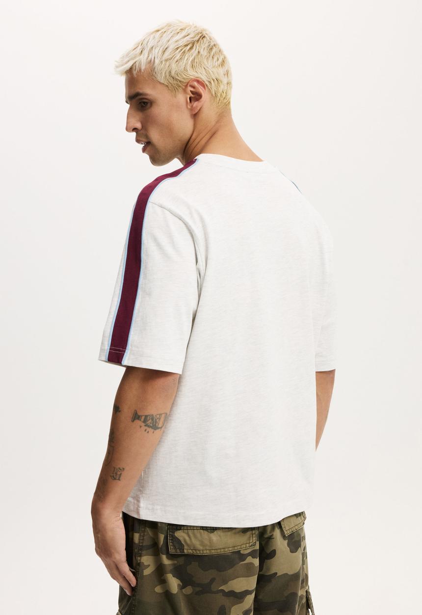 Cotton On - Cropped Fit Panel T-shirt - White Marle Contrast