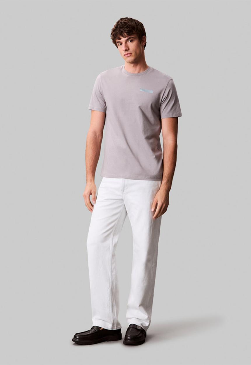 Calvin Klein - Short sleeve 30S Eu Word Stretch Graphic Tee - Steeple Gry