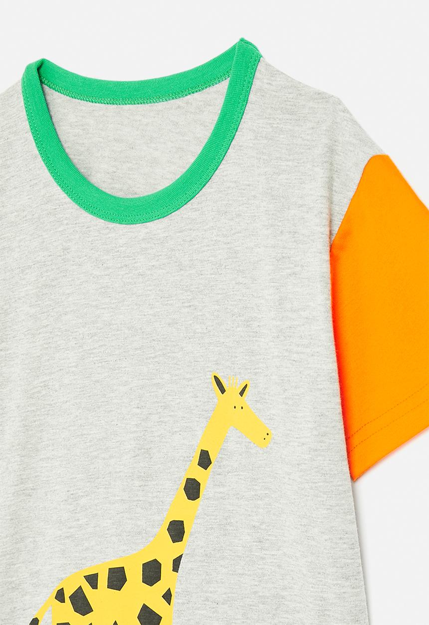 Pop Candy - Colour block tee with giraffe graphic - grey/multi