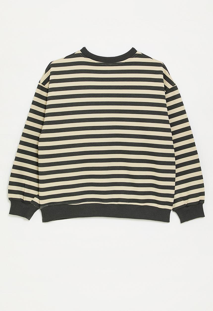 Pop Candy - Sweatshirt with cargo pocket - mud brown/beige stripes